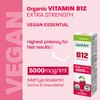 Certified Organic Vitamin B12 5000mcg Drops, Methylcobalamin, 50 Servings –