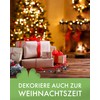 Kleenes Traumhandel Bells - Copper Bells - High-Quality Clamps -