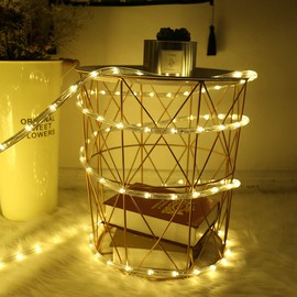 HuiZhen Indoor Outdoor Rope Lights,110v 100ft Connectable led Rope Lights Outdoor Waterproof Kit for Party,Wedding,Background,Trees,Pool,Eaves Decoration with UL Certified(Warm White)