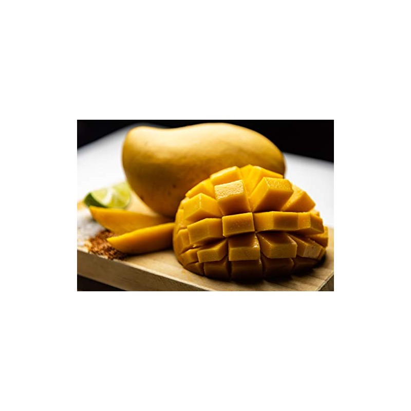 CHILLITITLAN Mango Deshidratado Enchilado sin Azúcar Añadida 920 gramos