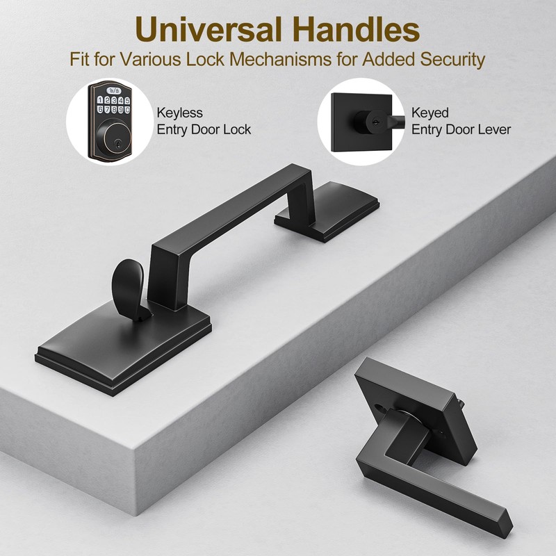 HOSOM Black Front Door Handle, Exterior Entry Door Handleset with
