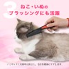 Human Stainless Steel, Fine Dandruff, Lice Comb, Catapult Comb, Dandruff,