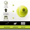 Morvat Professional Heavy Duty & High Pressured Tennis Balls, 12