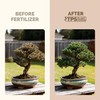 Bonsai Fertilizer for All Bonsai Trees, Great for Root Soaks,
