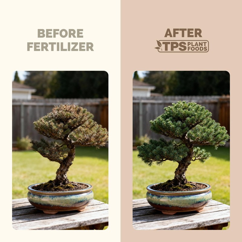 Bonsai Fertilizer for All Bonsai Trees, Great for Root Soaks,