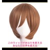 CaseEden 6009 Premium Smooth Short Bob Cosplay Wig, Brown, Brown