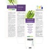 Plantain or Lung Leaf (Plantago lanceolata) Leaves Alcohol-Free Mother Tincture