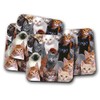 4 Set - Cute Kittens Coaster - Cats Animal Mum