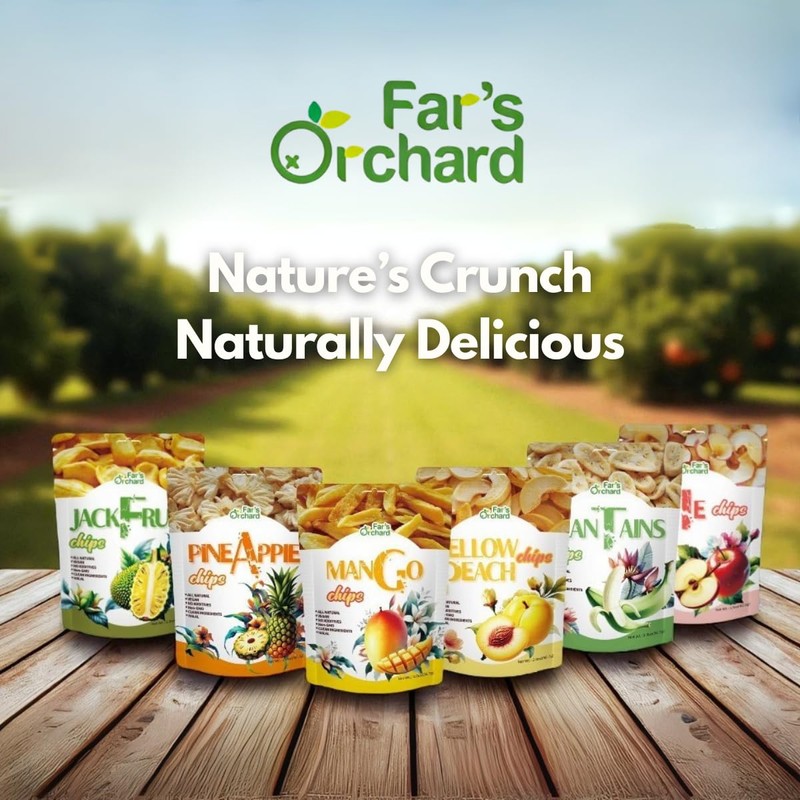Far's Orchard Jackfruit Chips – 4 Pack (2 oz Resealable Bags), Exotic Crunchy