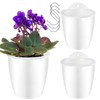 Oliz Self Watering Wall Planters for Indoor Plants with Water
