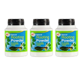 Doff Hormone Rooting Powder Plant and Cuttings 75g Dibber Pack Rootings Power (3 Pack), Included MAATSEN Gloves
