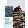 NICE WITCH'S Korean wild Kombu 100% Pure Dried Seaweed Traditional