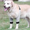 Dog Rcovery Sleeve Soft Breathable Stable Support Adjustable Comfortable Dog
