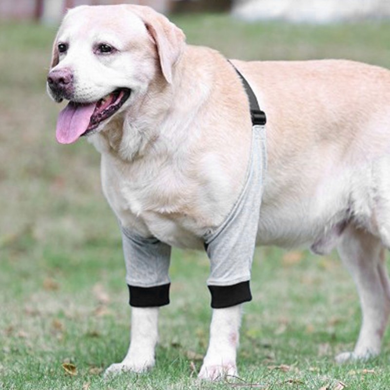 Dog Rcovery Sleeve Soft Breathable Stable Support Adjustable Comfortable Dog