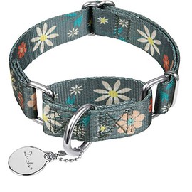 Dazzber Martingale Collar Floral Print Dog Collar - No Pull Pet Collar, Heavy Duty Adjustable Dog Collar, Large, Neck 17 Inch to 25 Inch, Elegant Flowers (Warm Grey)