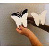 DCentral Lovebirds Flexible Screen Magnet: Multipurpose, Double-Sided, for Non-Retractable Screens,