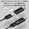 Type-C to ミニ アダプター 2個パック Type-C (メス) Mini Type-C (オス)アダプター