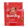 Waterboy Daily Hydration | 1,570mg Electrolyte Powder Packets | No