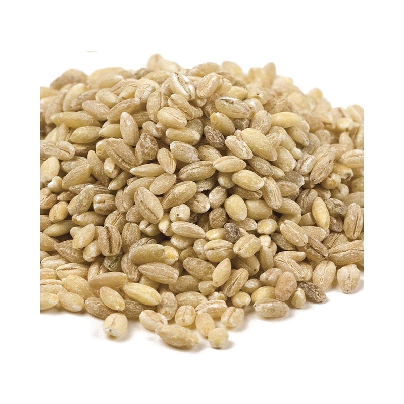 YANKEETRADERS Hulled Barley, 1 Lb.