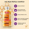 Honey-Bee Propolis Shampoo – Strengthens Hair, Promotes Growth, Removes Dandruff