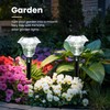 PATIOPIA Solar Pathway Lights Garden Decor for Yard, Solar Garden
