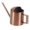 300ml Small Stainless Steel Watering Can Plant Flower Long Spout