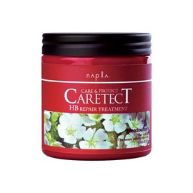Napla Care Tect HB Repair Treatment – 250g (Green Tea)
