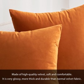 MIULEE Pack of 2 Velvet Soft Decorative Square Throw Pillow Case Cushion Covers Luxury Pillowcases for Livingroom Sofa Bedroom with Invisible Zipper 50cm x 50cm,20x20 Inches Orange