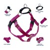 2 Hounds Design Freedom No Pull Dog Harness | Comfortable