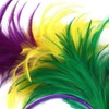 Lumadecor Retro Flapper Feather Headbands Mardi Gras Prom Dancer Headpiece