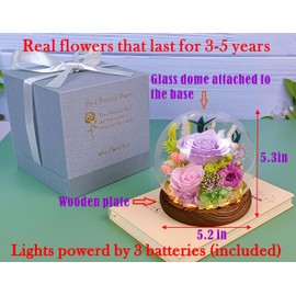 Valley of Rain & Forest Long-Lasting Real Flowers, Unique Floral Gift for You to Send Love for All Occasions, for Indoor Decoration (Light-Purple Rose, Light-Pink Rose, Purple-Pink Austin Rose)