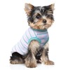 SZAT PRO Striped Teacup Pet Dog T-Shirts, 100% Cotton Tank