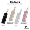 fogman Portable Ashtray Keychain with Carabiner Slide, Waterproof, Large Capacity,