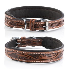 Jack & Russell Unique Leather Dog Collar, Hand-Carved & Padded, Buffalo Leather Collar, Dark Brown Talia (M (31.5-40.0 cm)