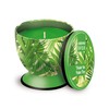 Pajoma Duftkerze UNIQUE ''Under the Palm Tree'', 240 g, Premium