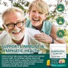 Lymphatic Support Supplement with 21 Botanical Extracts – 240 PCS