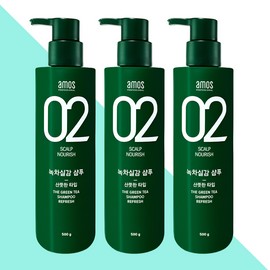 Amos Professional Green Tea Realistic Shampoo Oily Scalp Refreshing Type 500gX3 / 아모스 프로페셔널 녹차실감 샴푸 지성 두피 산뜻한타입 500gX3개