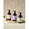Therapy Body Wash 500g (Choose 1 out of 3 types) / 테라피 바디워시 500g ( 3종 중 택 1 )