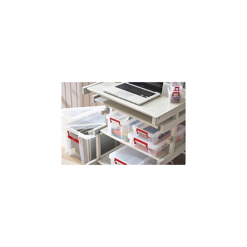 Whitefurze Allstore Container with Silver Clamp, Plastic, Natural, 5 Litre