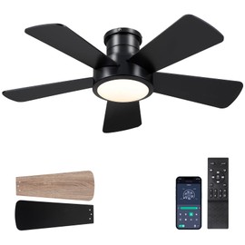 Ceiling Fans with Lights,Modern Low Profile Ceiling Fan with Remote Control,5 Dual-Sided Blades,Reversible DC Motor,40" Black Small Flush Mount Ceiling Fan for Bedroom Indoor/Outdoor Use