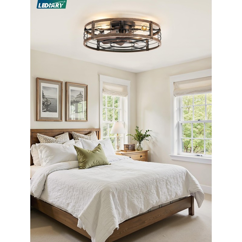23" Black Gold Caged Low Profile Ceiling Fan with Light
