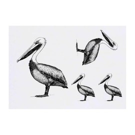 4 x 'Pelican Side View' Temporary Tattoos - Water Resistant, Skin-Safe, Non-Toxic Transfers, Mixed Sizes (TO00083126)