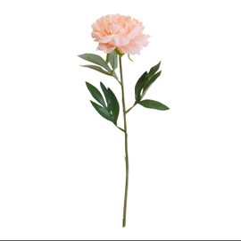 Elements Blush Peony Artificial Flower Stem, Fake Flowers for Home Decoration, 6x3.5x18 Inch