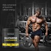 Bandini® Pure L-Glutamine Powder, High Strength & Flavourless, Essential Amino