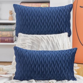 Madizz Pack of 2 Super Soft Velvet Decorative Cushion Covers with Texture Luxury Style Throw Pillow Cases Pillow Shell for Sofa Bedroom Blue 12x20 inch Rectangular