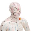 Human Body Acupuncture Model Professional Portable Meridian Points Model for