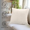 Encasa Christmas New Year VELVET Cushion Covers 2pc Set (60