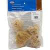 Multicraft Imports R2090 Natural Ocean Artist Sponges (4 Pack)