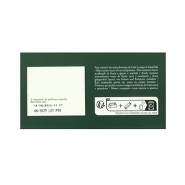 Passerini Tisane Fidji - Lemon & Ginger Herbal Tea, Box of 24 Enveloped Cristal® Teabags, Dammann Frères