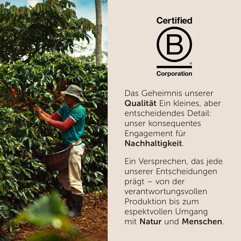 illy, Kaffee E.S.E. Pads Einzeldosis CLASSICO Lungo, 100% Arabica mit